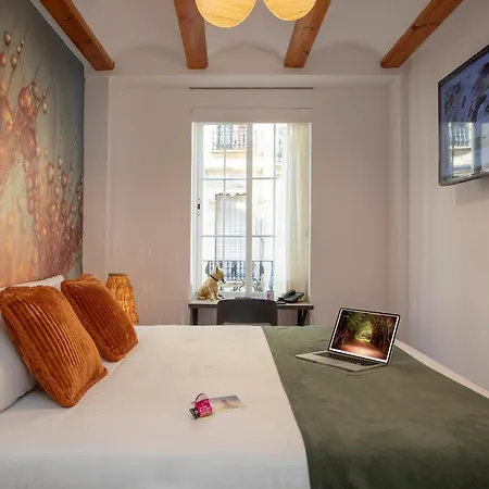 Отель Casual Natura *