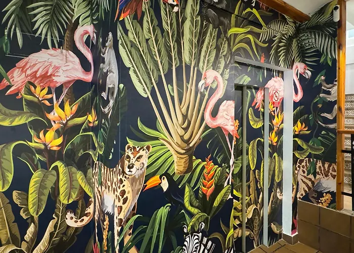 Casual Natura By Casual